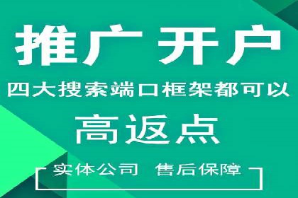 某电商平台的SEM投放全流程案例